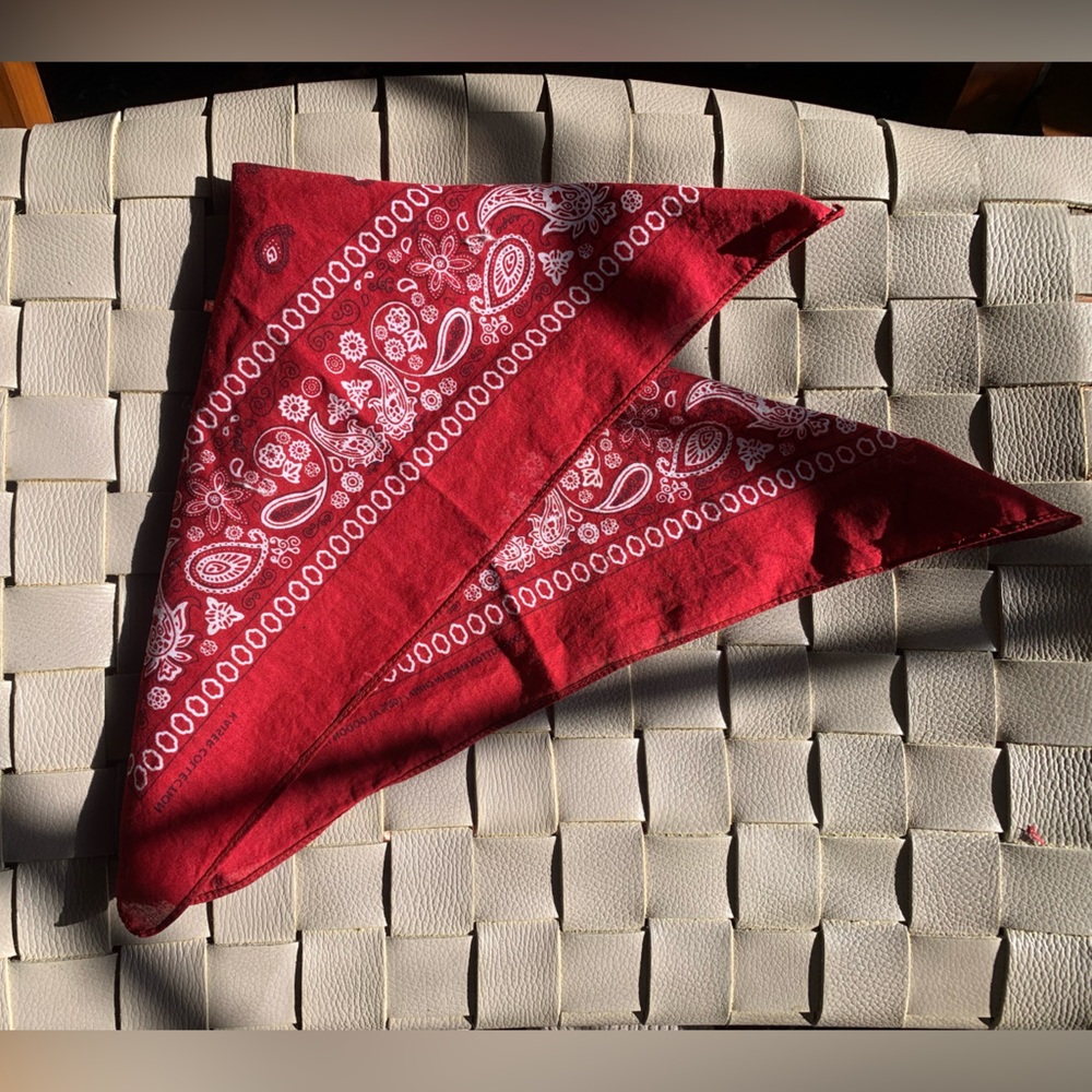 Kaiser Collection // Red Paisley Bandana - Picture 5 of 5
